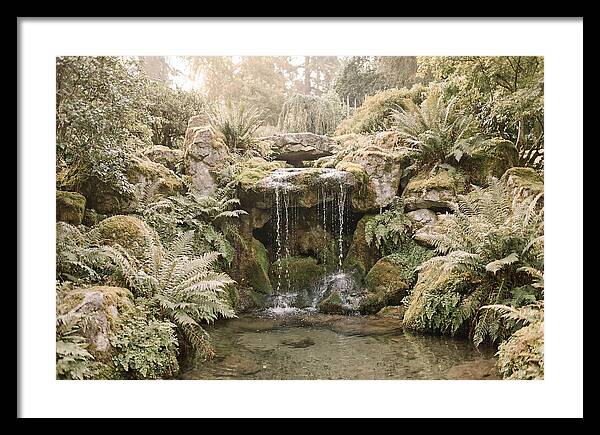 Garden Grotto With Ferns And Dripping Water