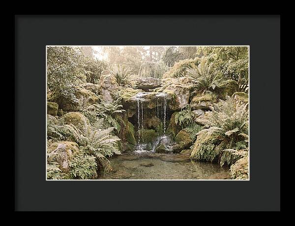 Garden Grotto With Ferns And Dripping Water