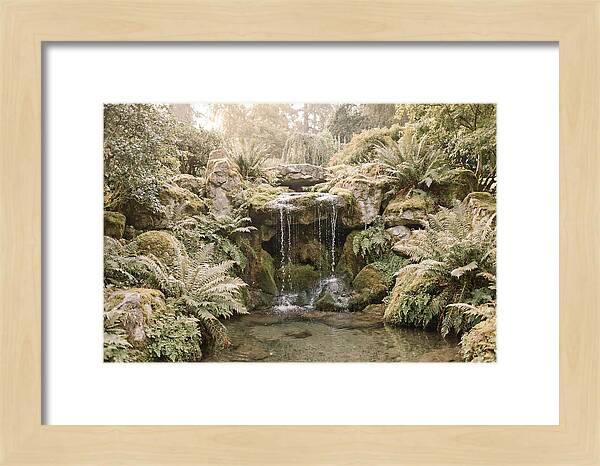 Garden Grotto With Ferns And Dripping Water
