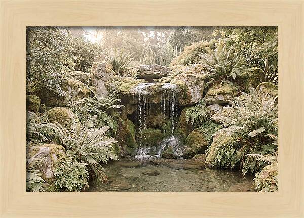 Garden Grotto With Ferns And Dripping Water