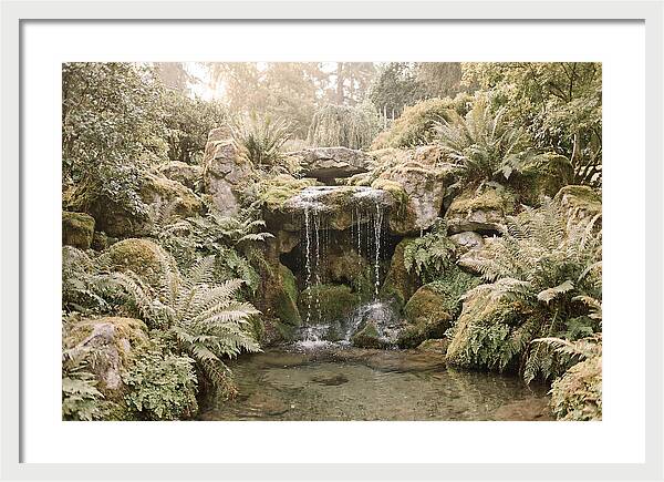 Garden Grotto With Ferns And Dripping Water