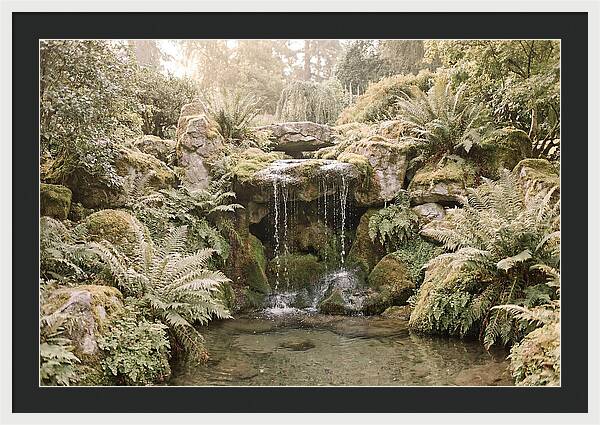 Garden Grotto With Ferns And Dripping Water
