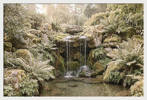 Garden Grotto With Ferns And Dripping Water