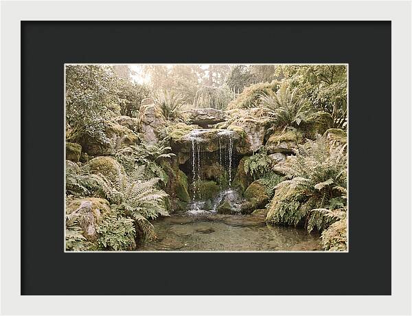 Garden Grotto With Ferns And Dripping Water