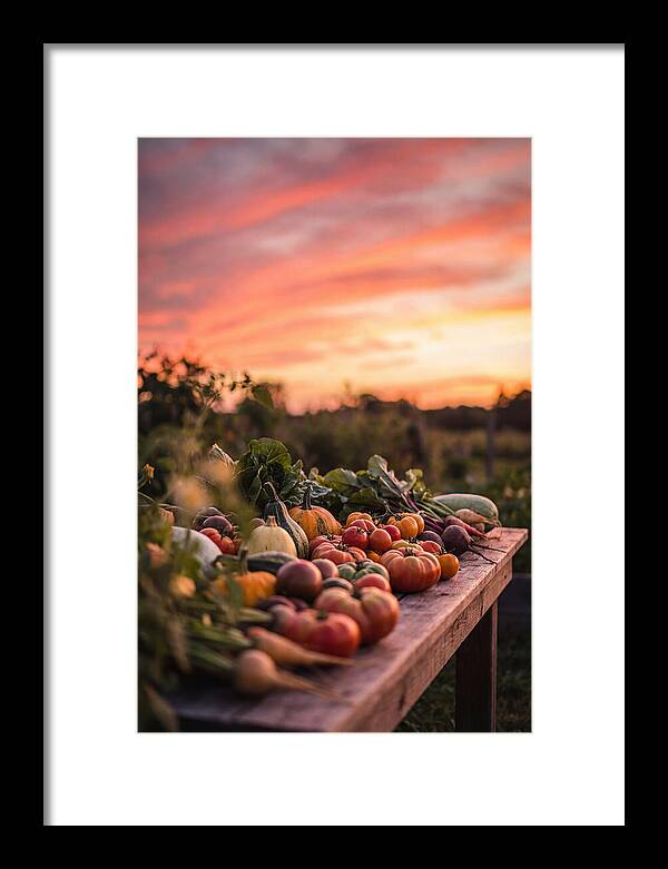 Garden Harvest At Sunset