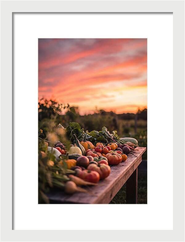 Garden Harvest At Sunset