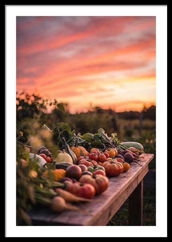 Garden Harvest At Sunset