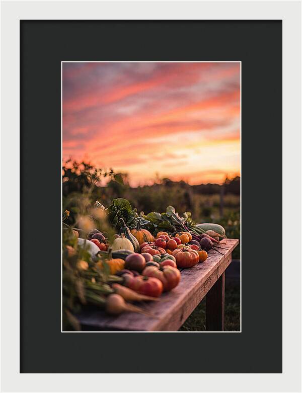 Garden Harvest At Sunset