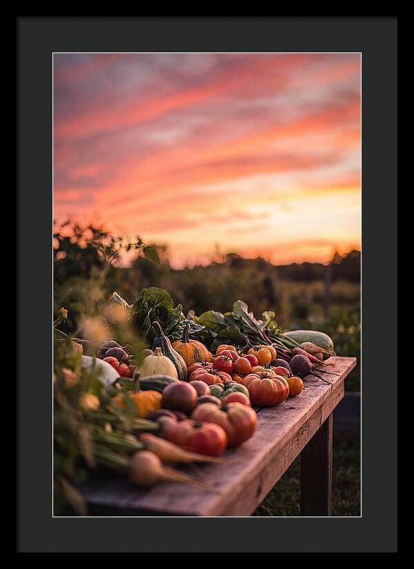 Garden Harvest At Sunset