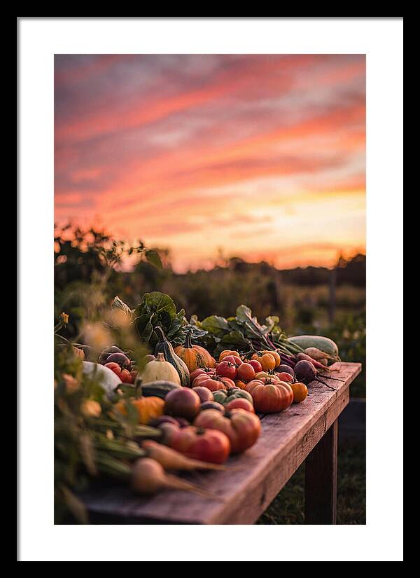 Garden Harvest At Sunset