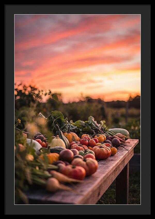 Garden Harvest At Sunset