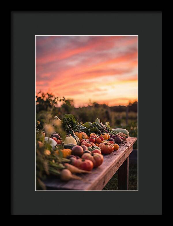 Garden Harvest At Sunset