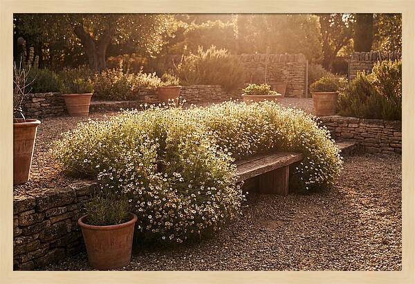 Garden Herb Seat Surrounded By Chamomile
