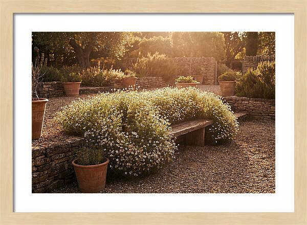Garden Herb Seat Surrounded By Chamomile