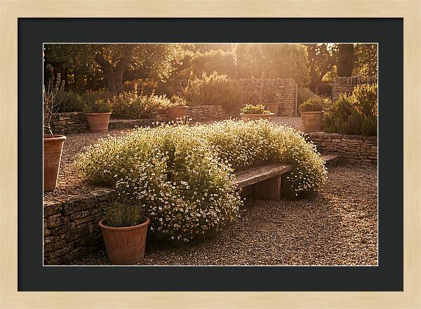 Garden Herb Seat Surrounded By Chamomile