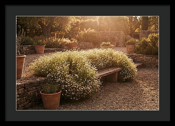 Garden Herb Seat Surrounded By Chamomile