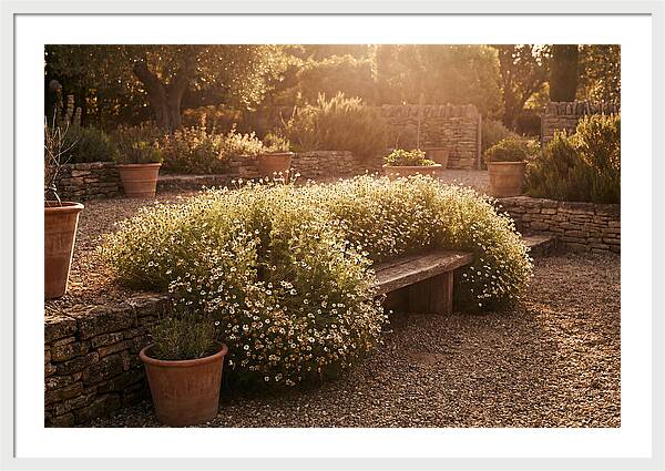 Garden Herb Seat Surrounded By Chamomile