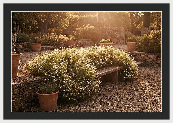 Garden Herb Seat Surrounded By Chamomile