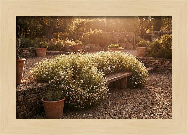 Garden Herb Seat Surrounded By Chamomile