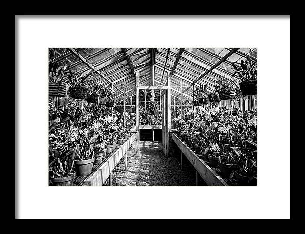 Garden Hot House Oasis