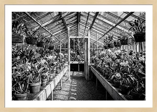 Garden Hot House Oasis