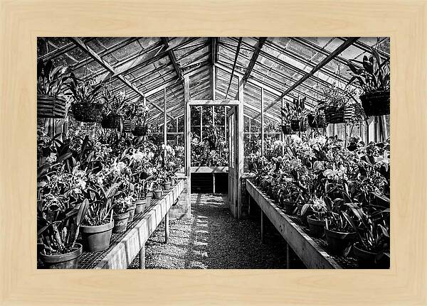 Garden Hot House Oasis