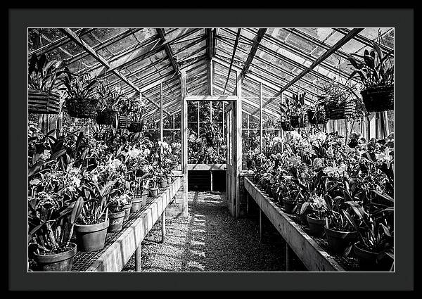 Garden Hot House Oasis