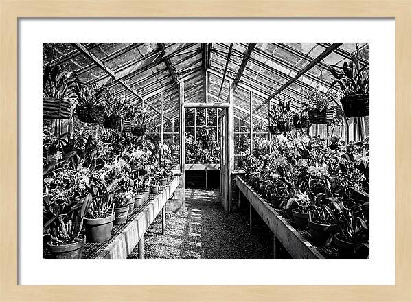 Garden Hot House Oasis