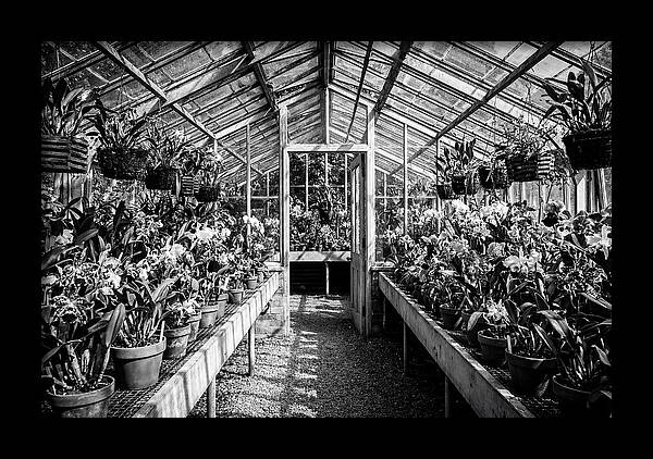 Garden Hot House Oasis