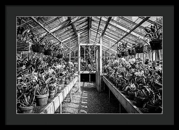 Garden Hot House Oasis