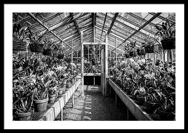 Garden Hot House Oasis