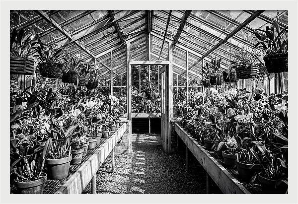 Garden Hot House Oasis