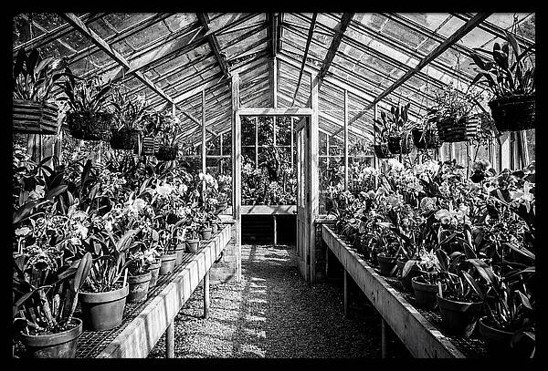 Garden Hot House Oasis