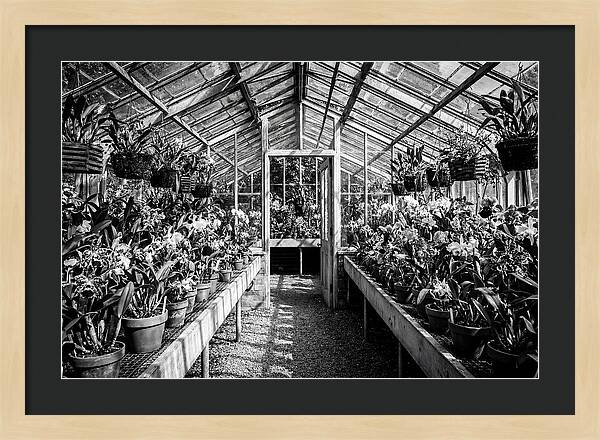 Garden Hot House Oasis