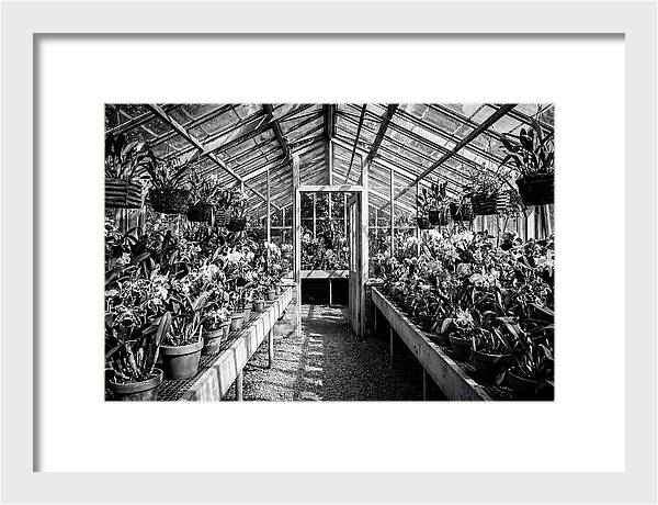 Garden Hot House Oasis