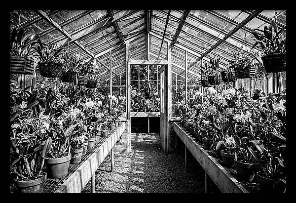 Garden Hot House Oasis
