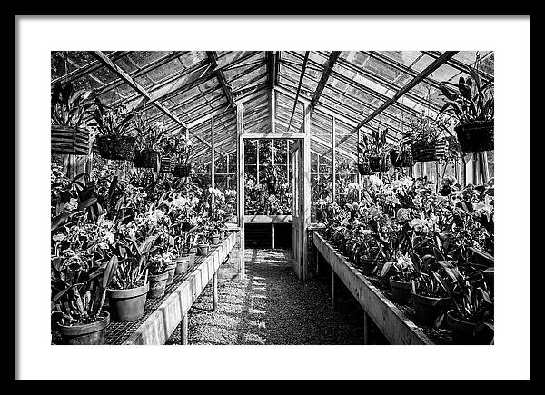 Garden Hot House Oasis