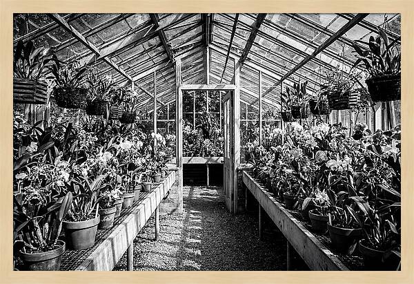 Garden Hot House Oasis