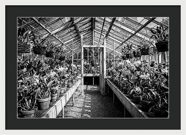 Garden Hot House Oasis