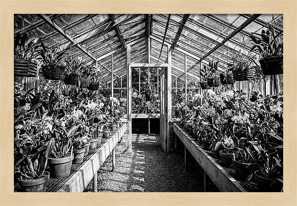 Garden Hot House Oasis