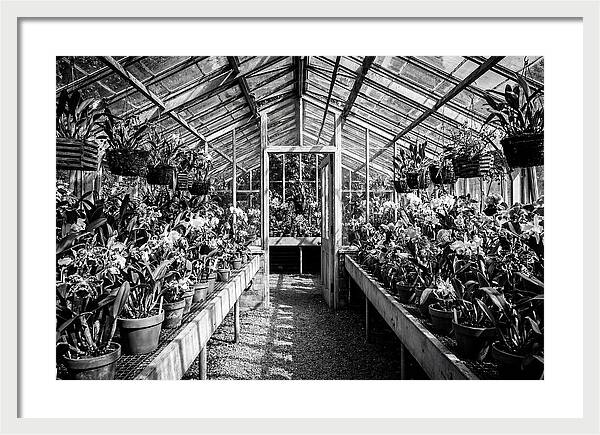Garden Hot House Oasis