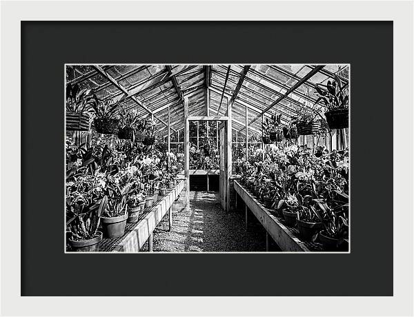 Garden Hot House Oasis