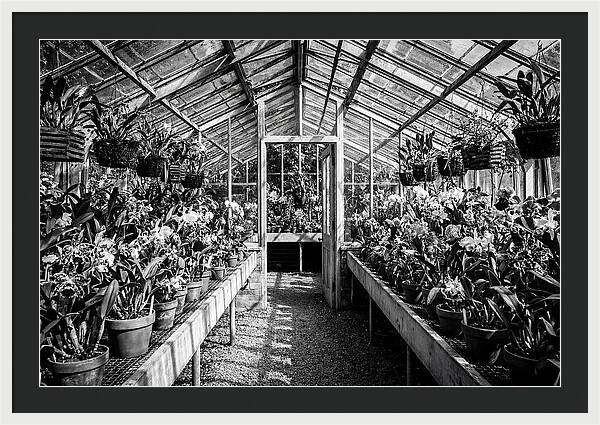 Garden Hot House Oasis