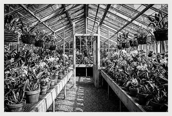 Garden Hot House Oasis