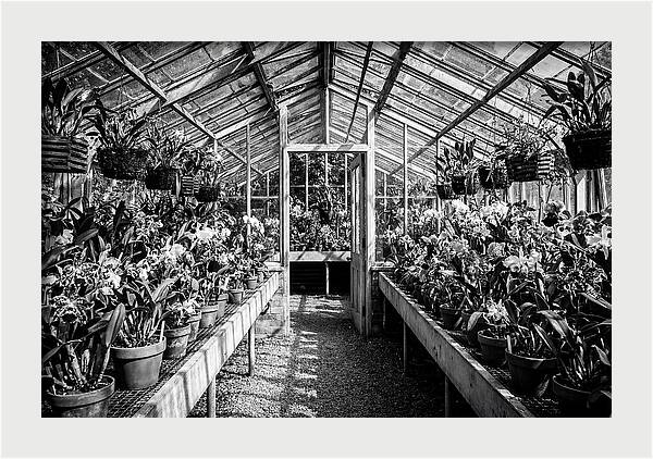Garden Hot House Oasis
