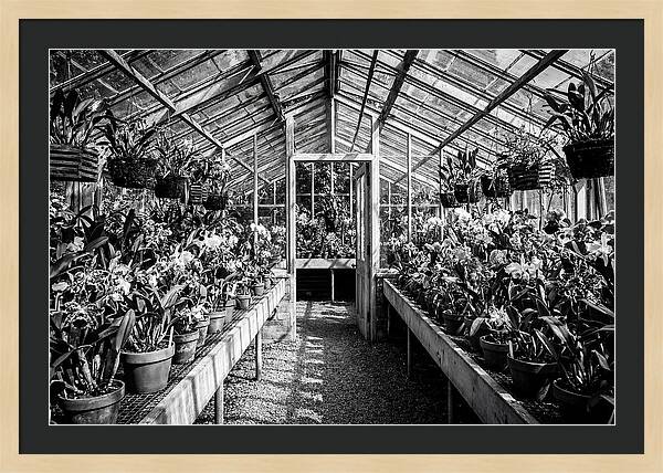 Garden Hot House Oasis