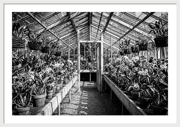 Garden Hot House Oasis