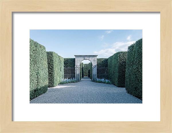 Garden Maze Entrance