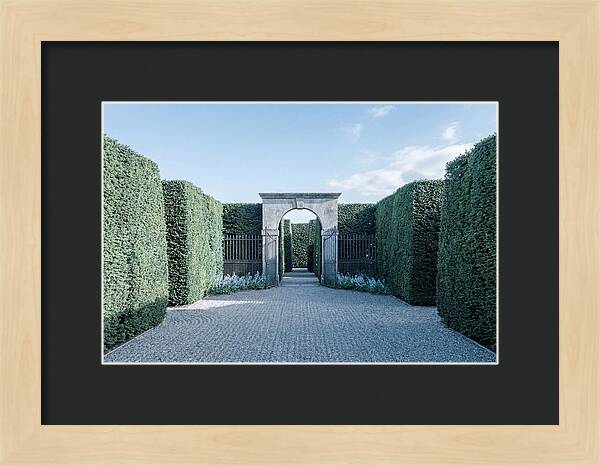 Garden Maze Entrance