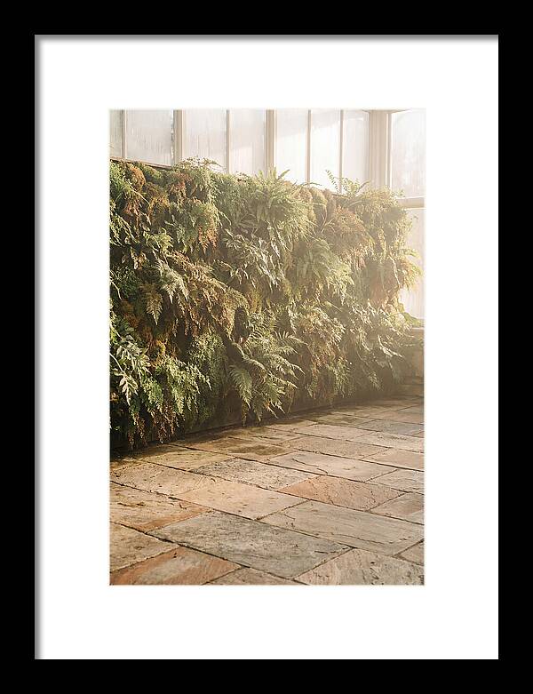Garden Oasis With Living Wall